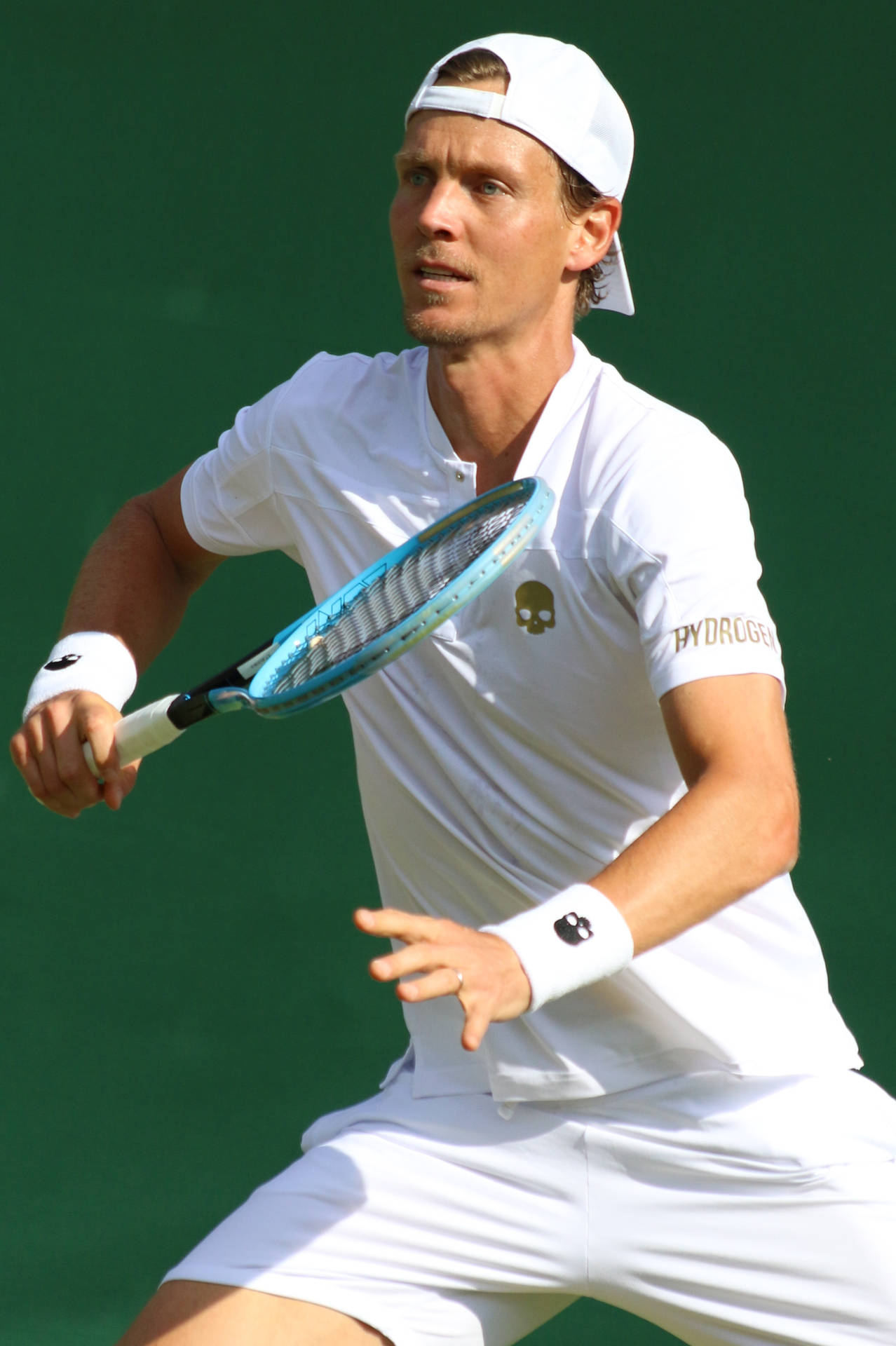 Tomas Berdych Green Backdrop