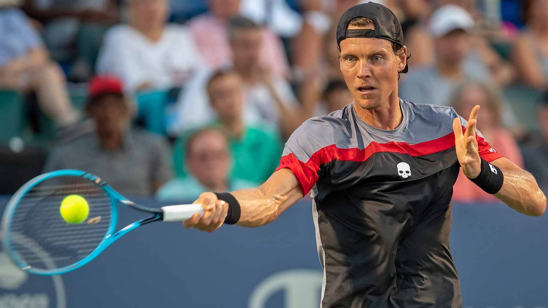 Tomas Berdych Hits Yellow Ball