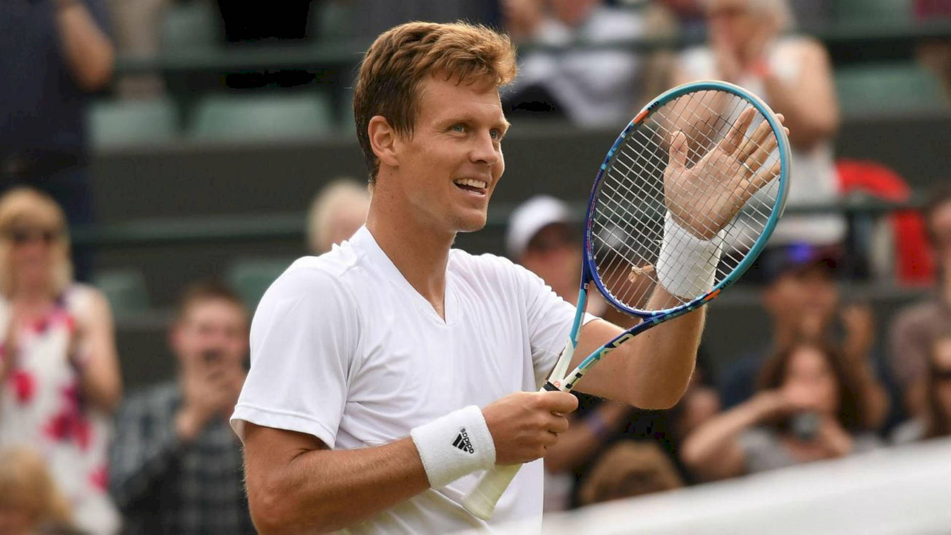 Tomas Berdych In White Shirt Background