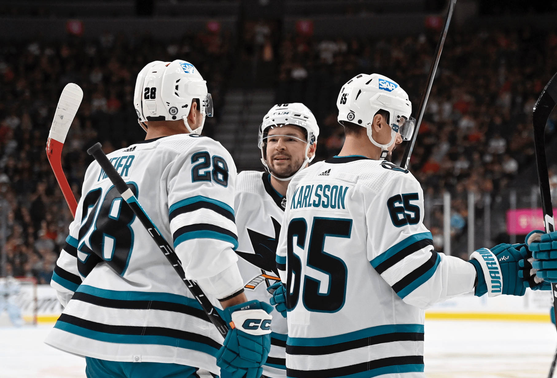 Tomas Hertl And Team Background