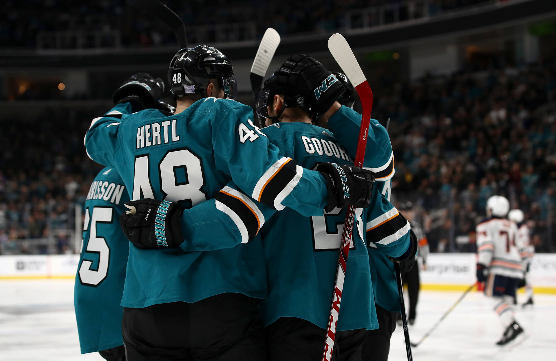 Tomas Hertl With San Jose Sharks Team Background