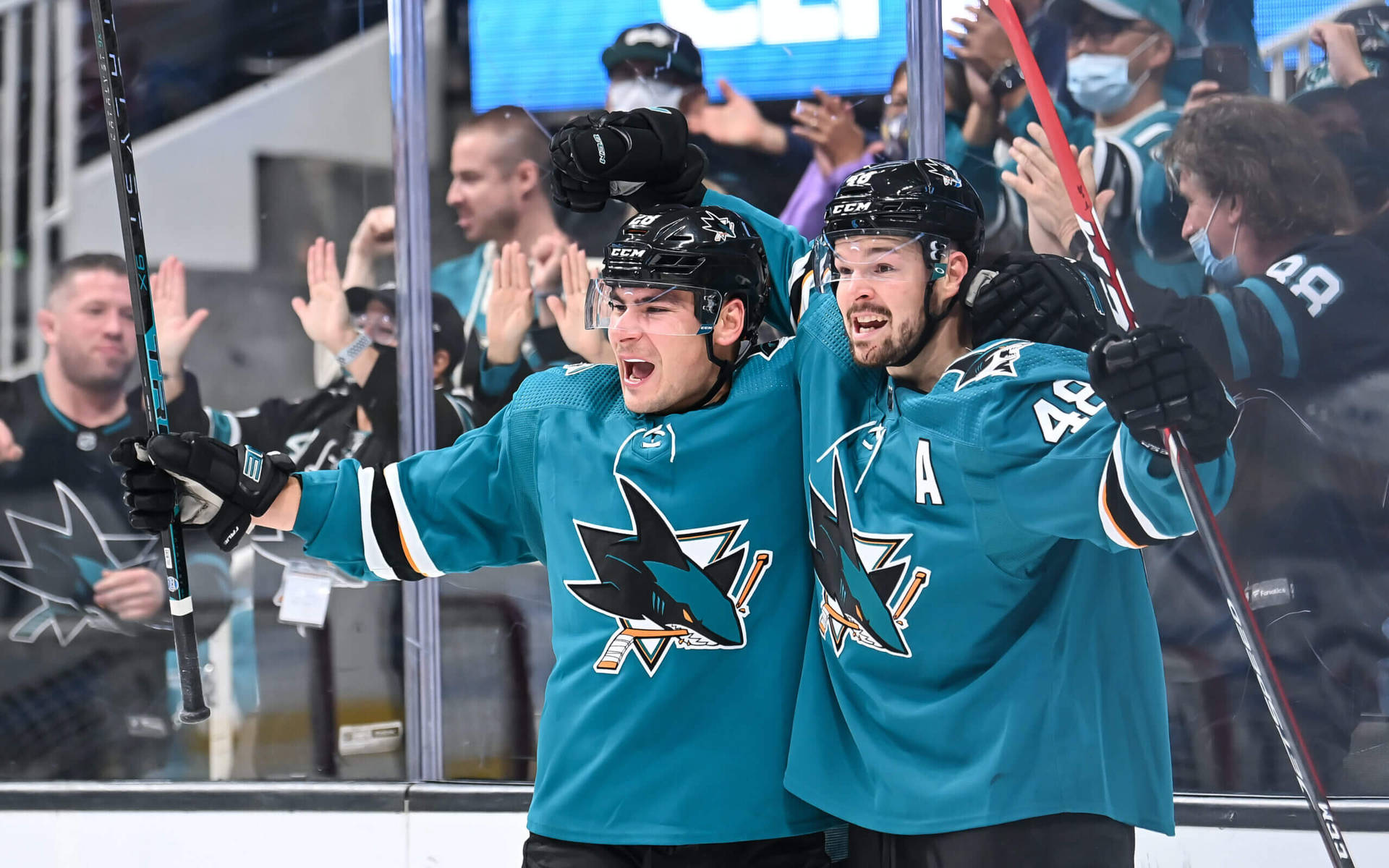 Tomas Hertl With Teammate Background