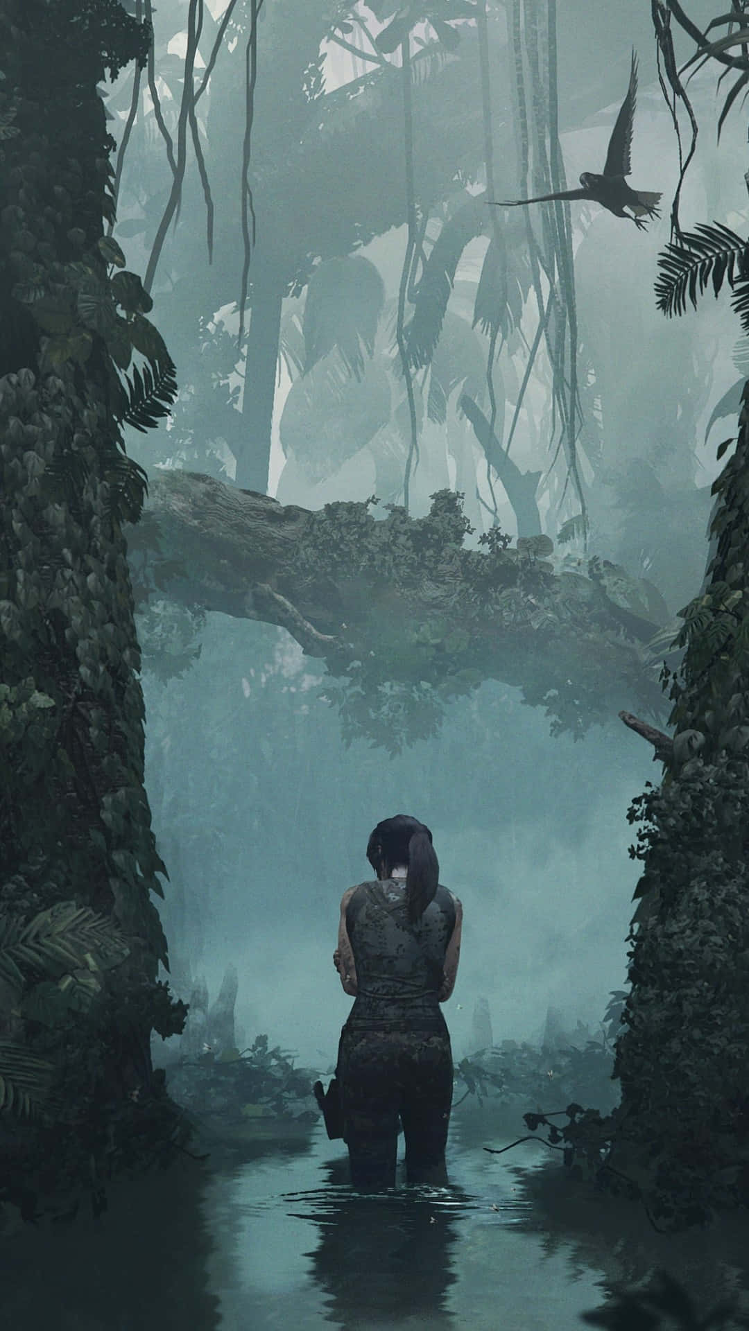 Tomb Raider Croft Alone Iphone 5s Background