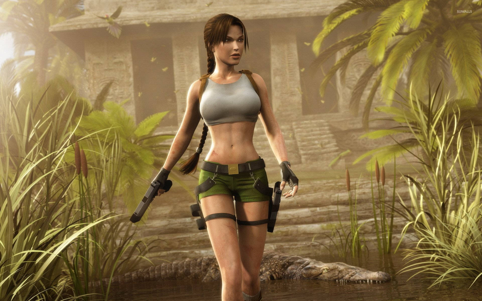 Tomb Raider Game Lara Croft Costume Background