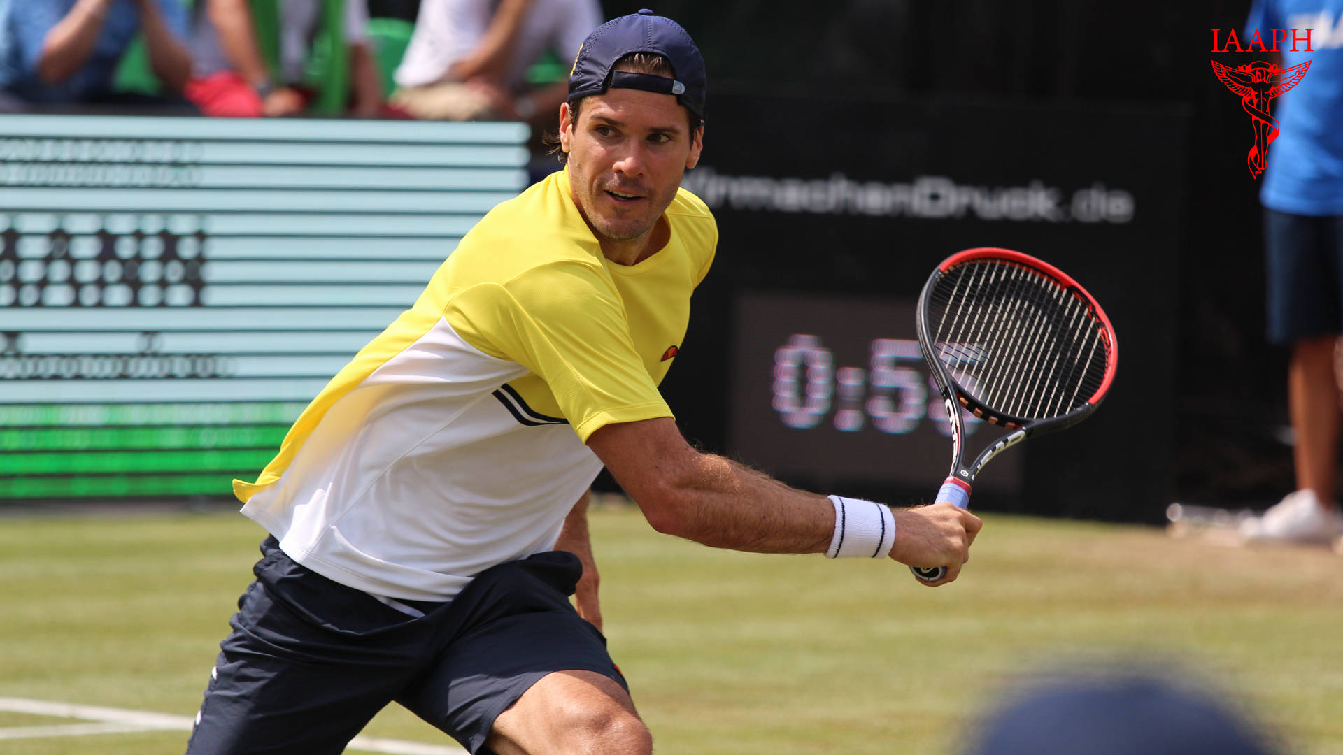 Tommy Haas Backswing Background