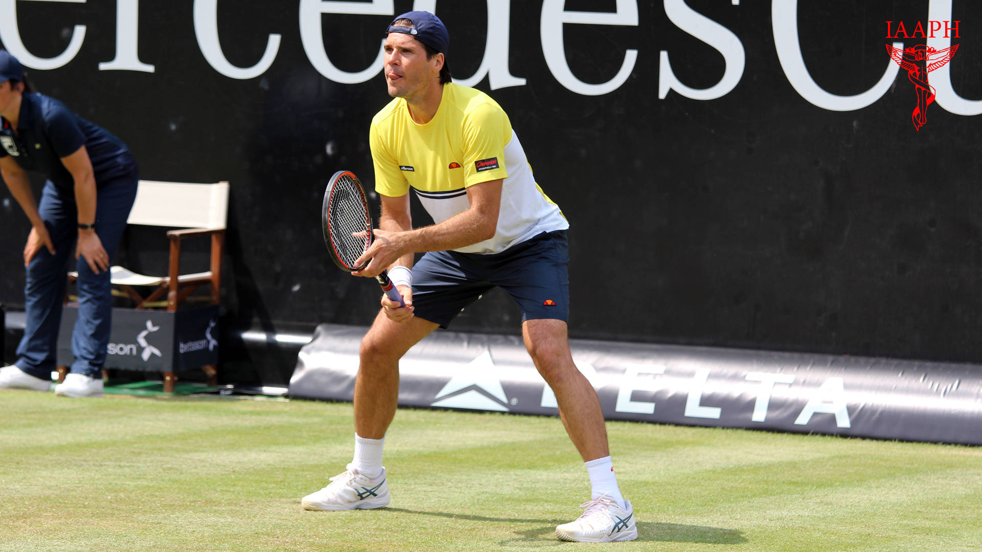 Tommy Haas Crouching Down Background