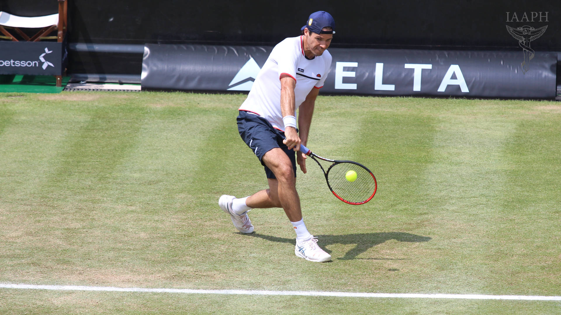 Tommy Haas Low Catch Background