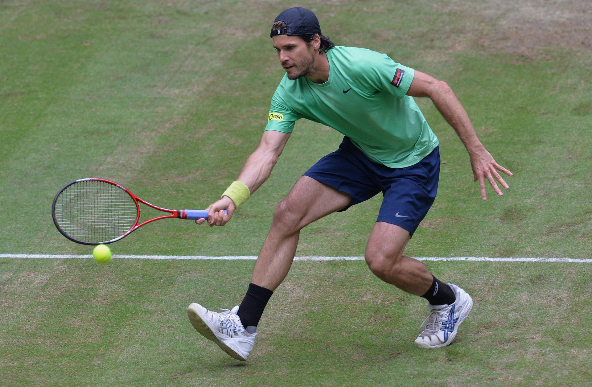 Tommy Haas Reaching Down Background