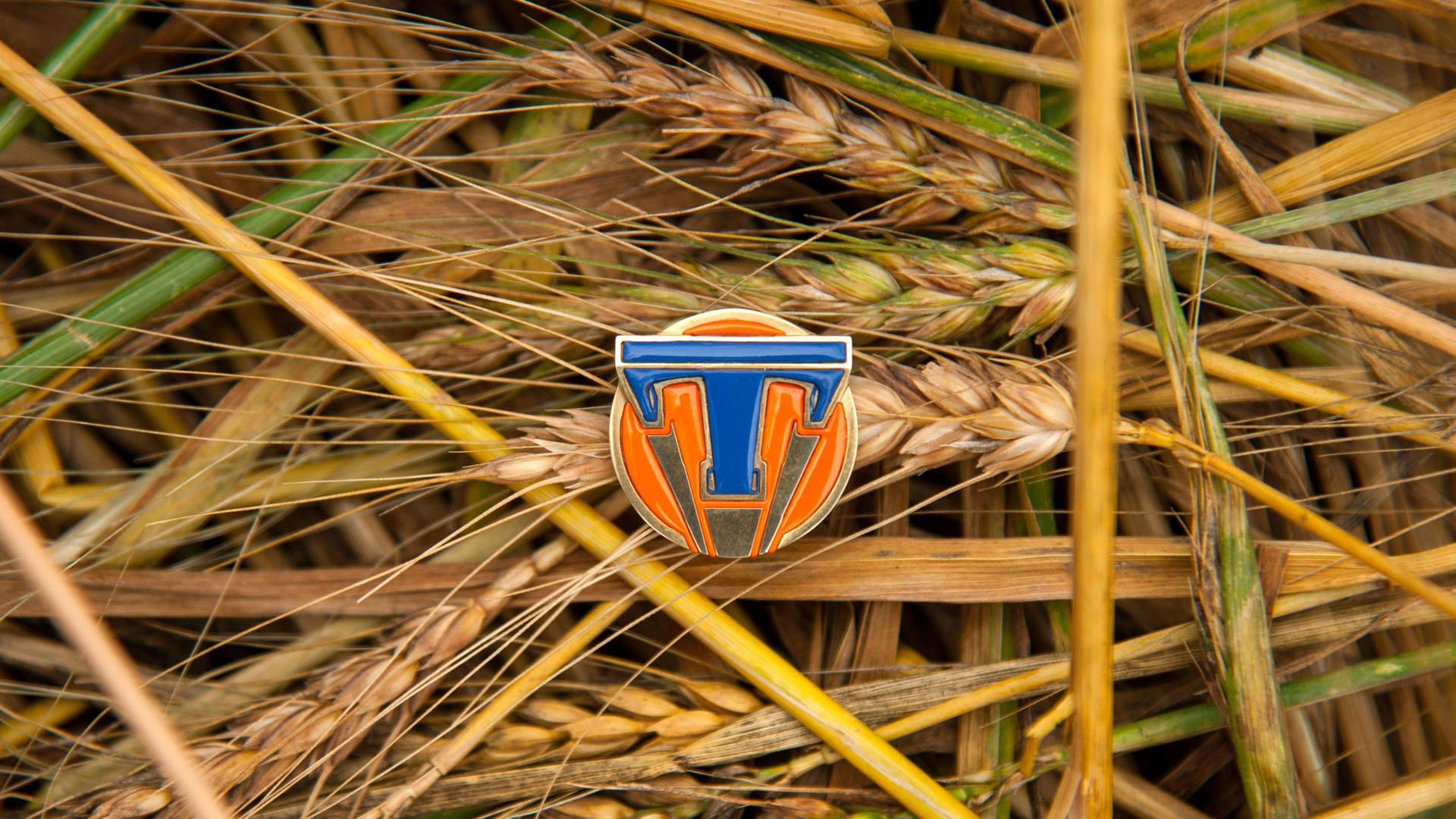 Tomorrowland Movie Emblem On Haystack Background