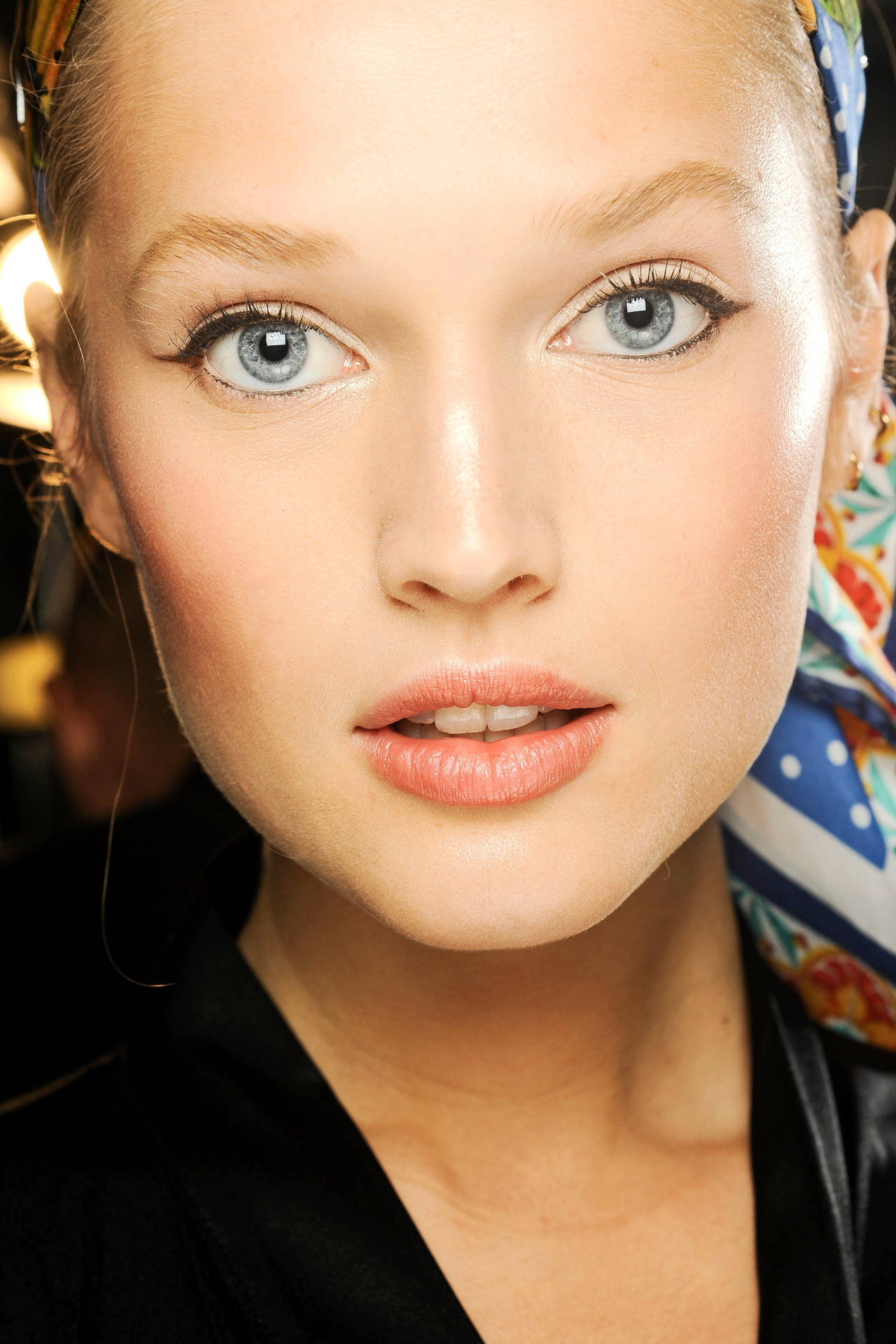 Toni Garrn With Make-up Background