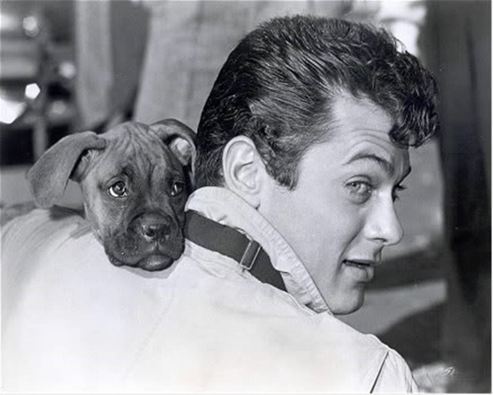 Tony Curtis Dog Background