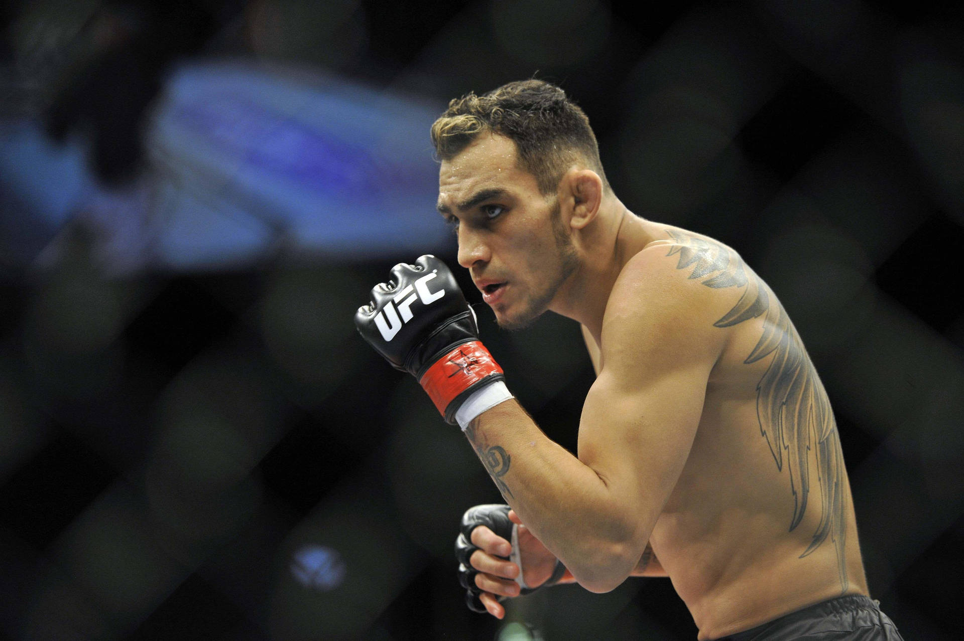 Tony Ferguson Concentrating