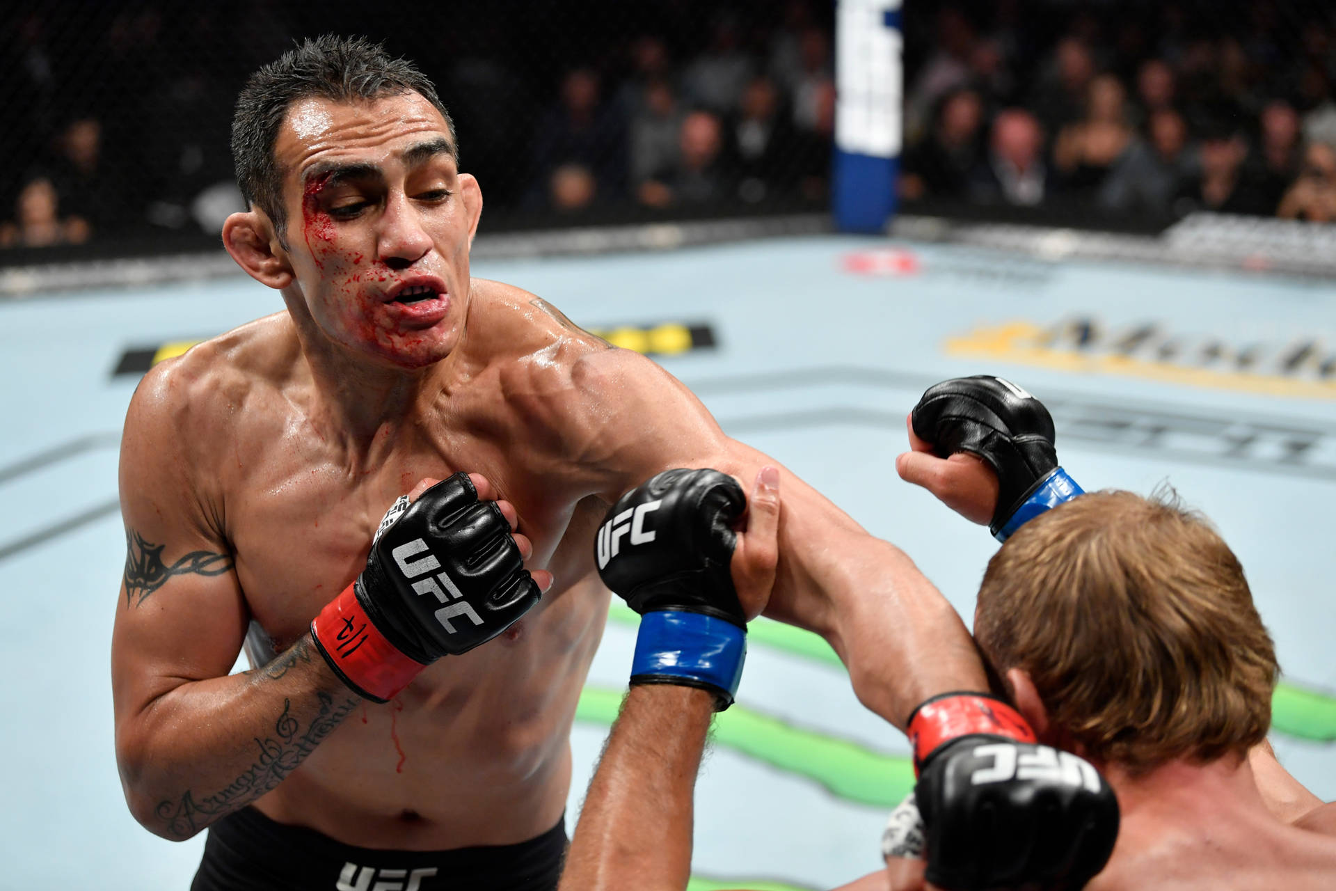 Tony Ferguson Killer Punch Background