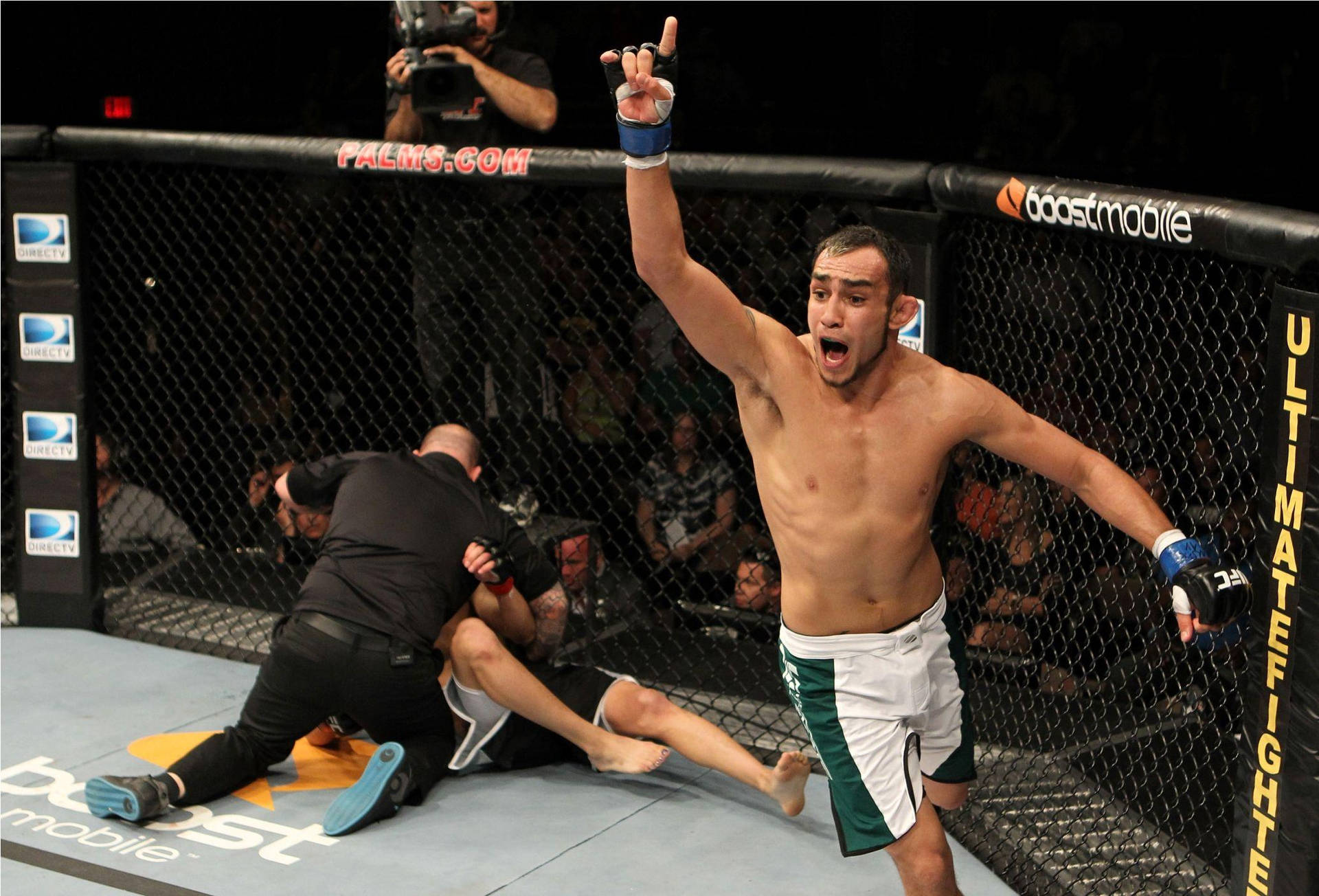 Tony Ferguson Wins Background