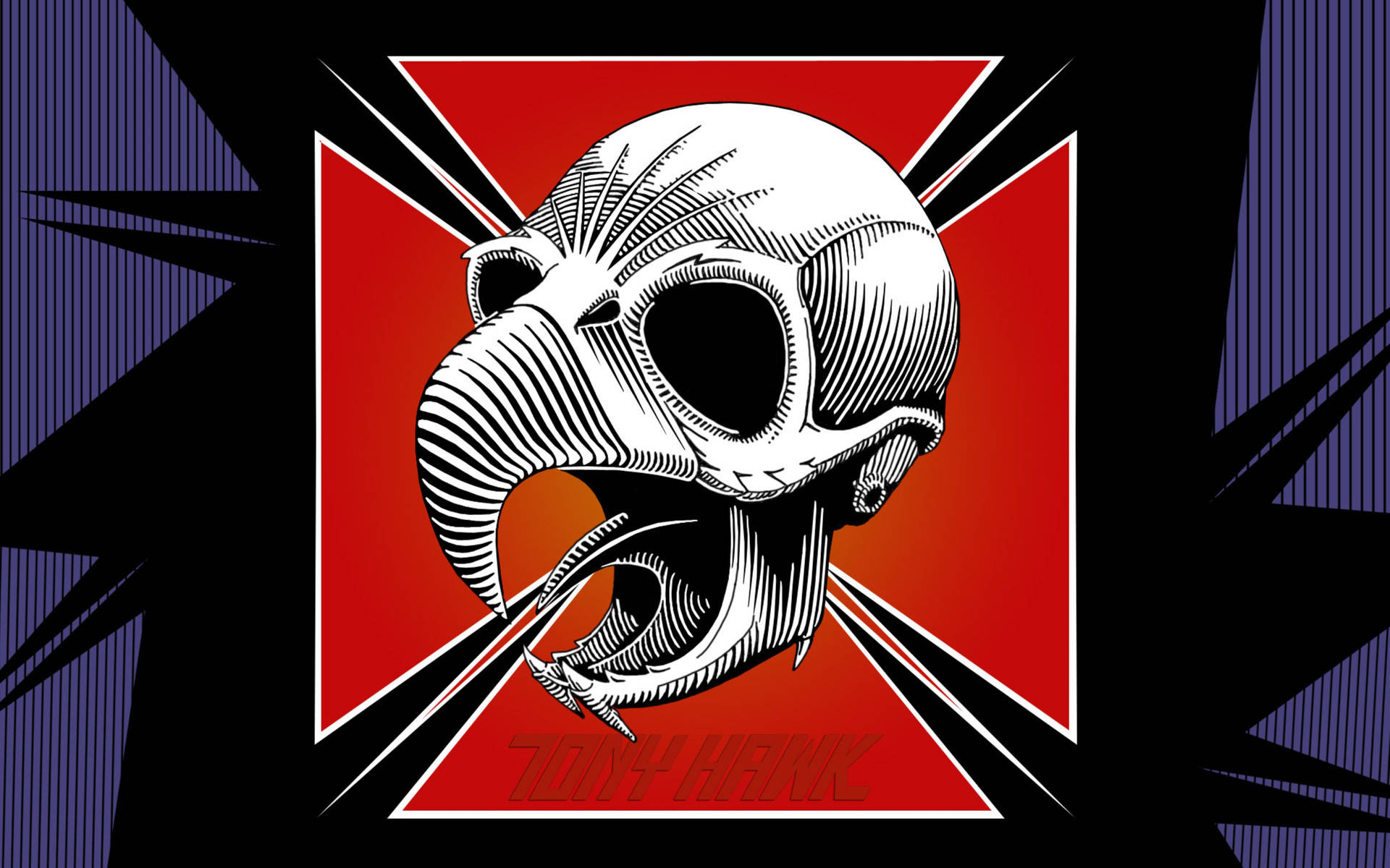 Tony Hawk Birdman Lakai Logo Background