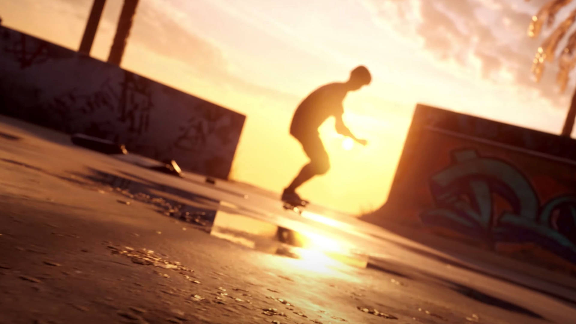 Tony Hawk Pro Skater Sunset Silhouette Background