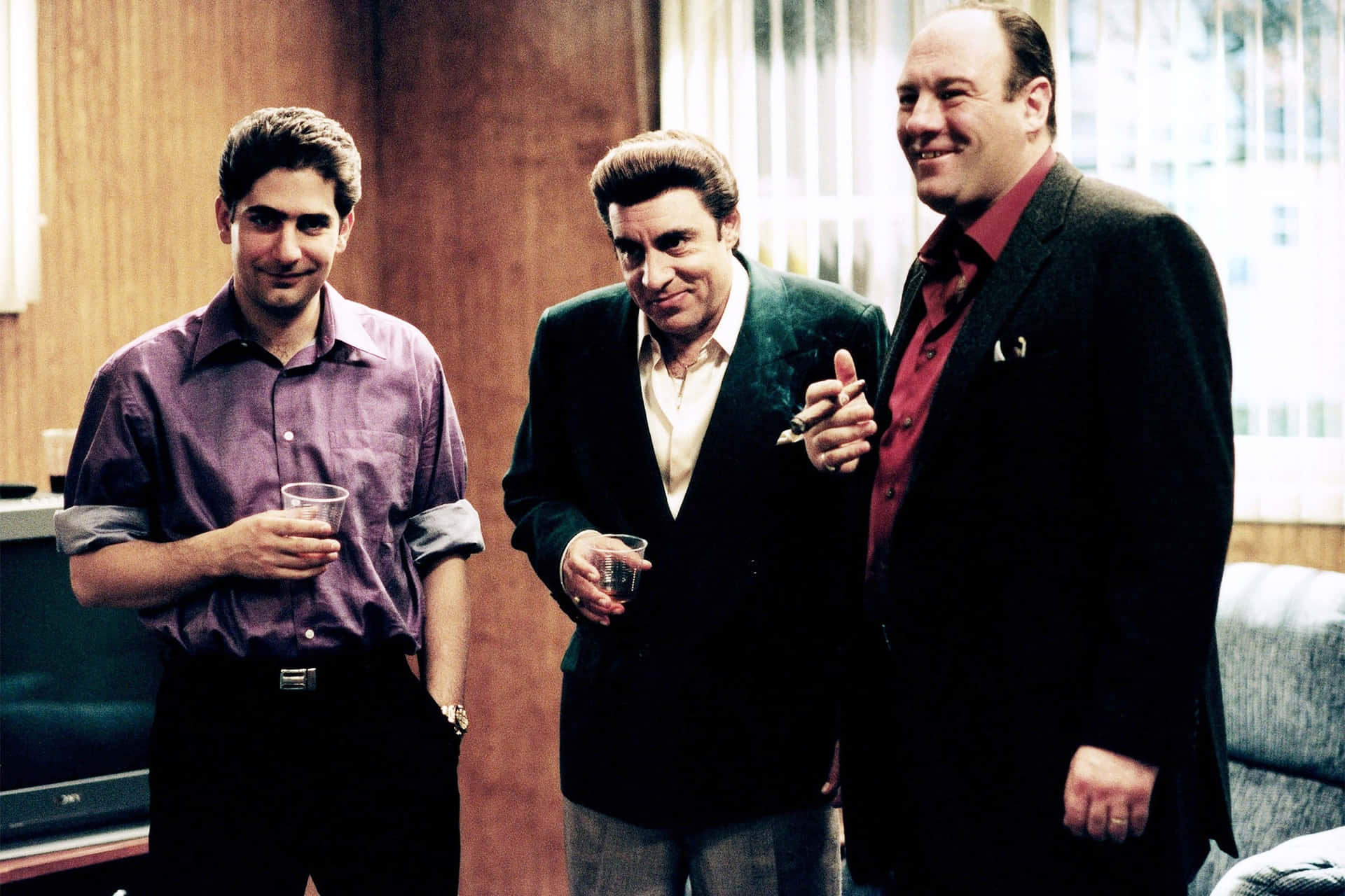 Tony Soprano - The Head Of The Family