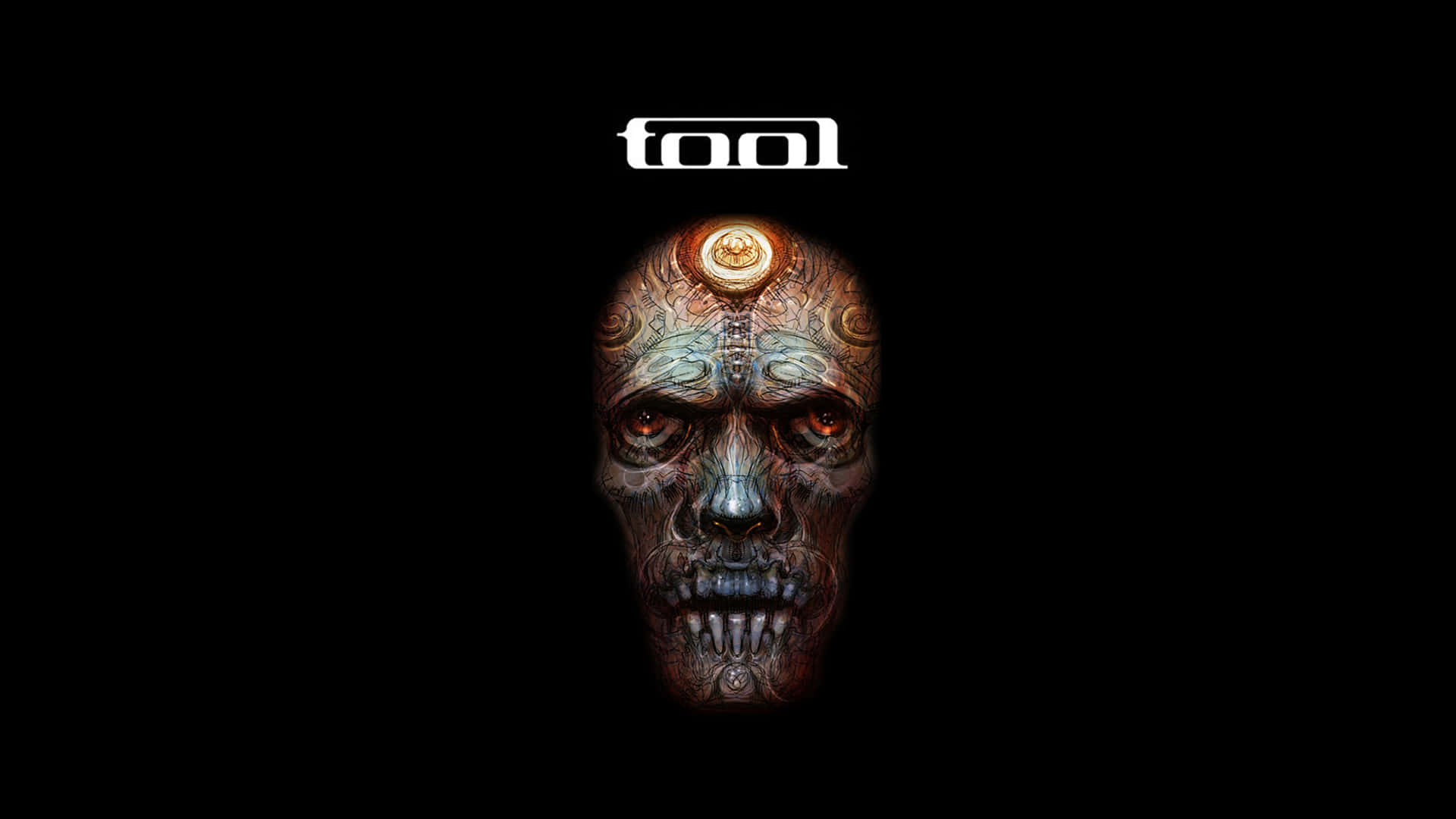 Tool Band Reveals The Secrets Of Performance And Intensity Background