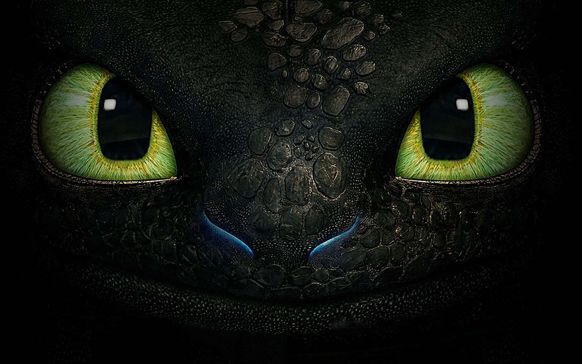 Toothless Face From How To Train Your Dragon The Hidden World Background