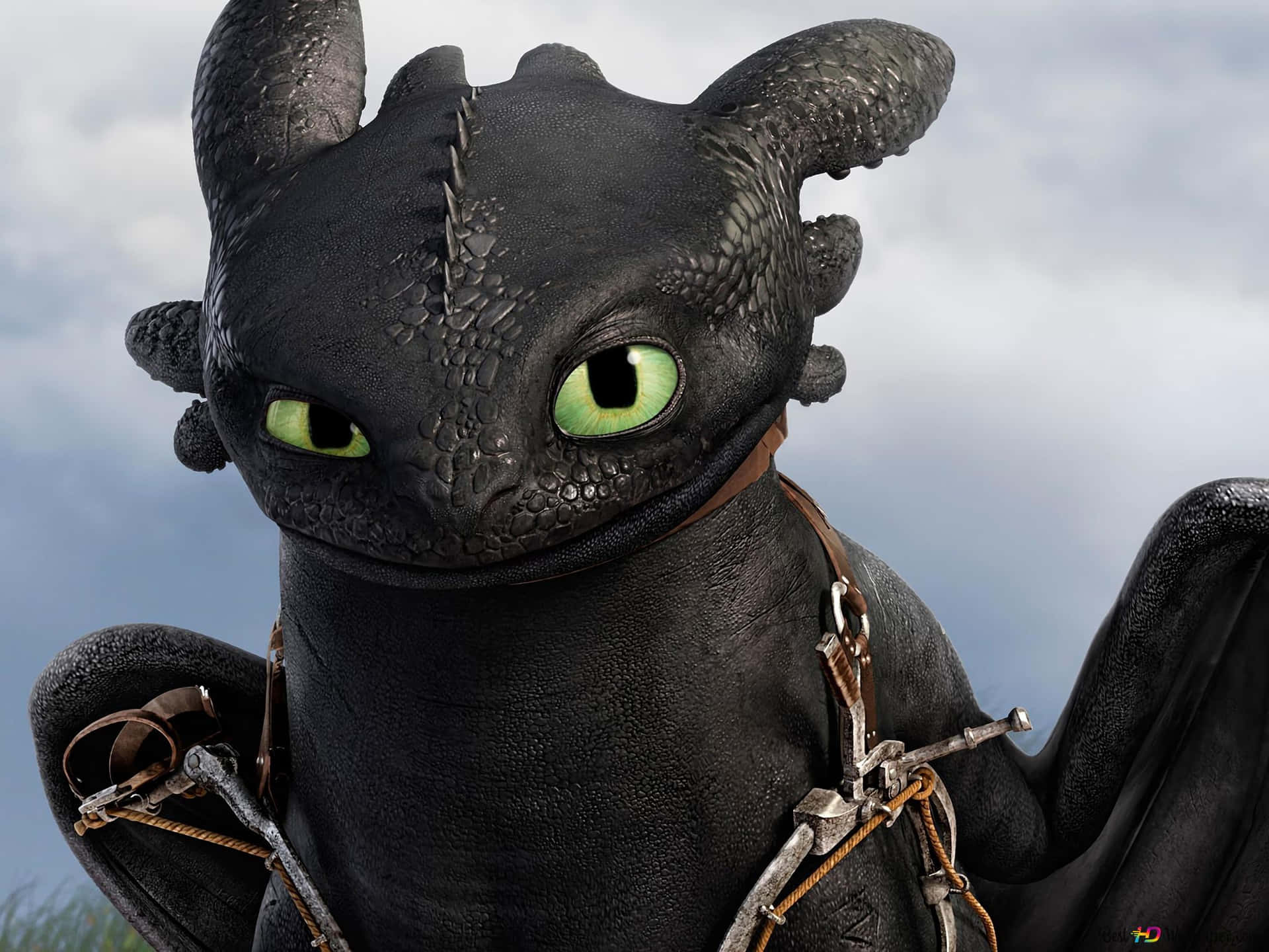 Toothless Smirking In How To Train Your Dragon The Hidden World Background