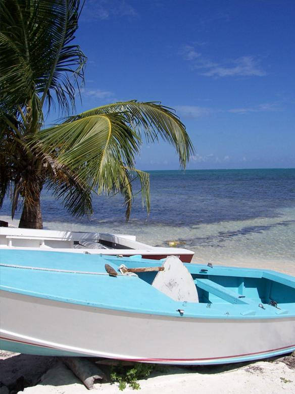 Topical Beach Coconut Tree Boat