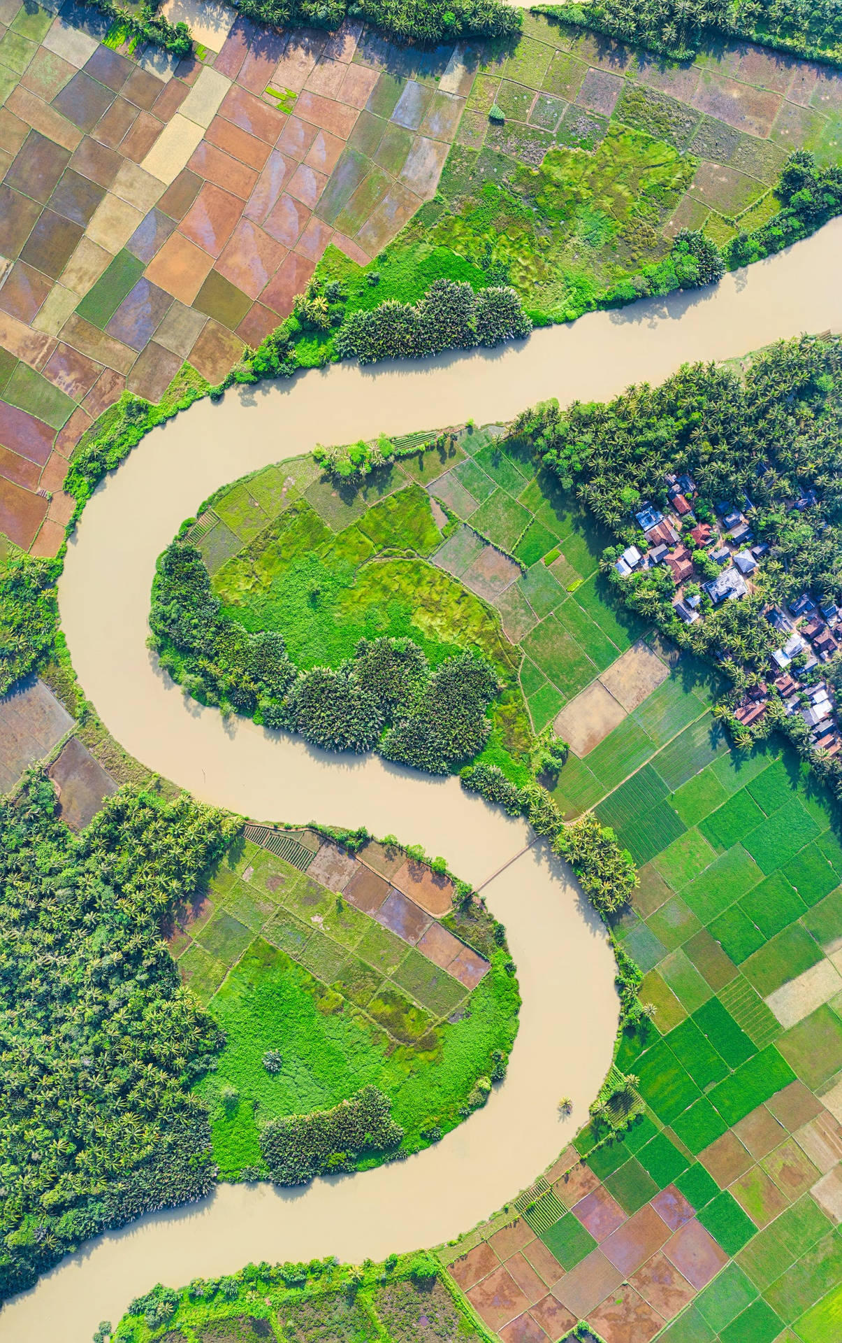 Topography Bird's Eye Background