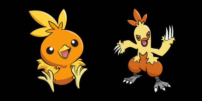 Torchic Combusken Bring It On Background