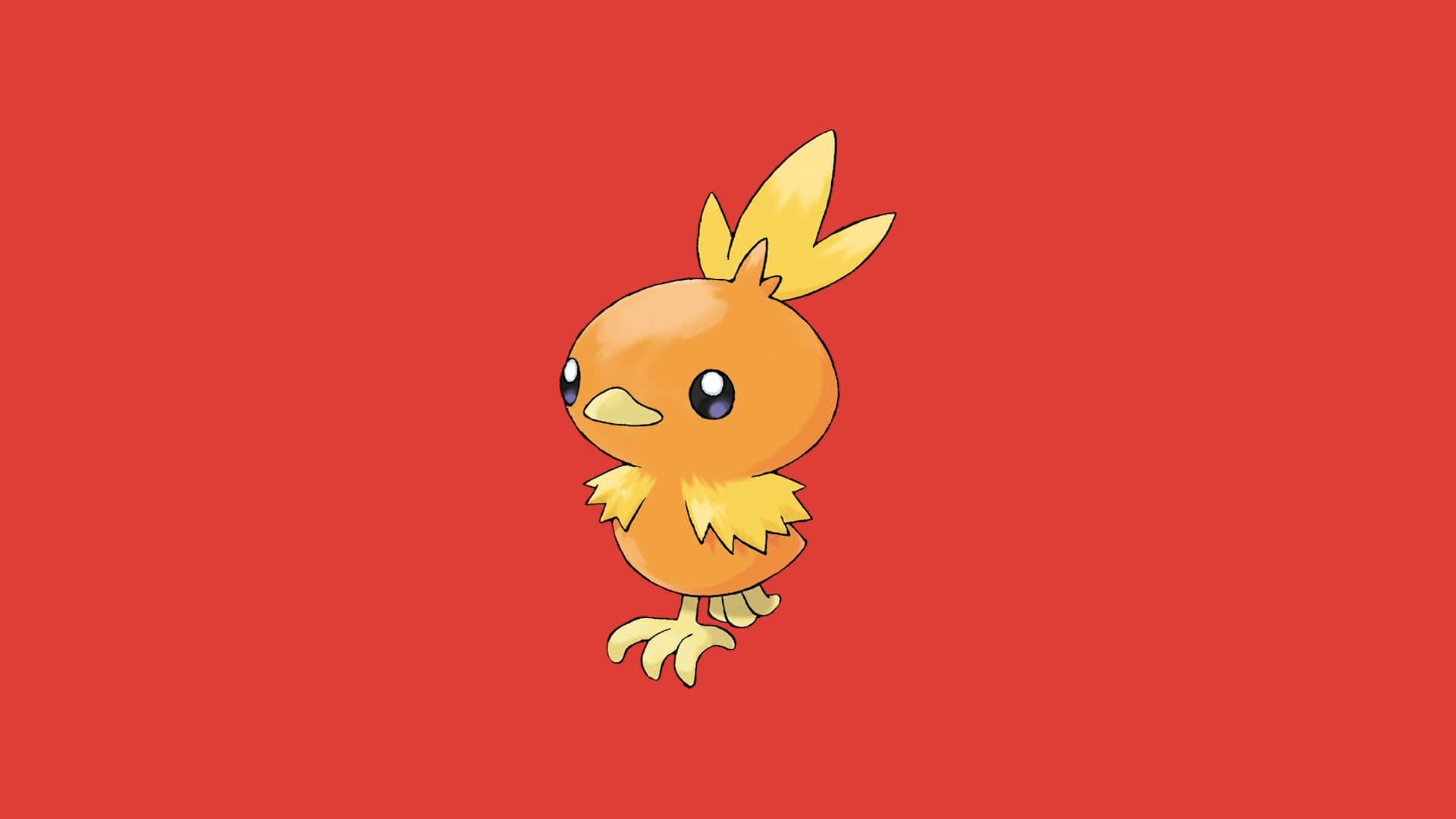 Torchic Illustration On Red Background Background