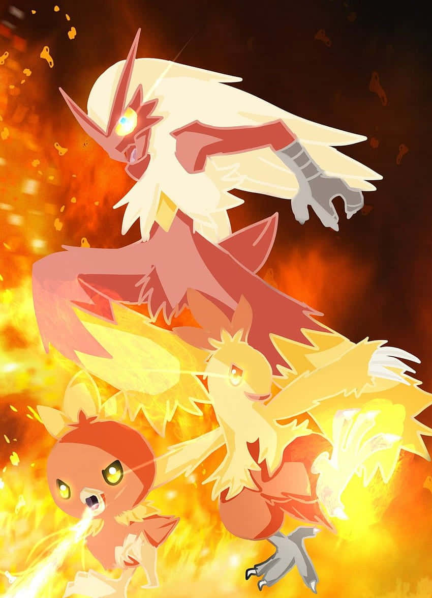 Torchic Pokemon Evolution Stages Illustration Background