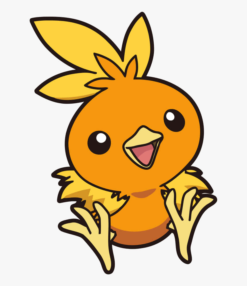 Torchic Pokemon On White Background Background
