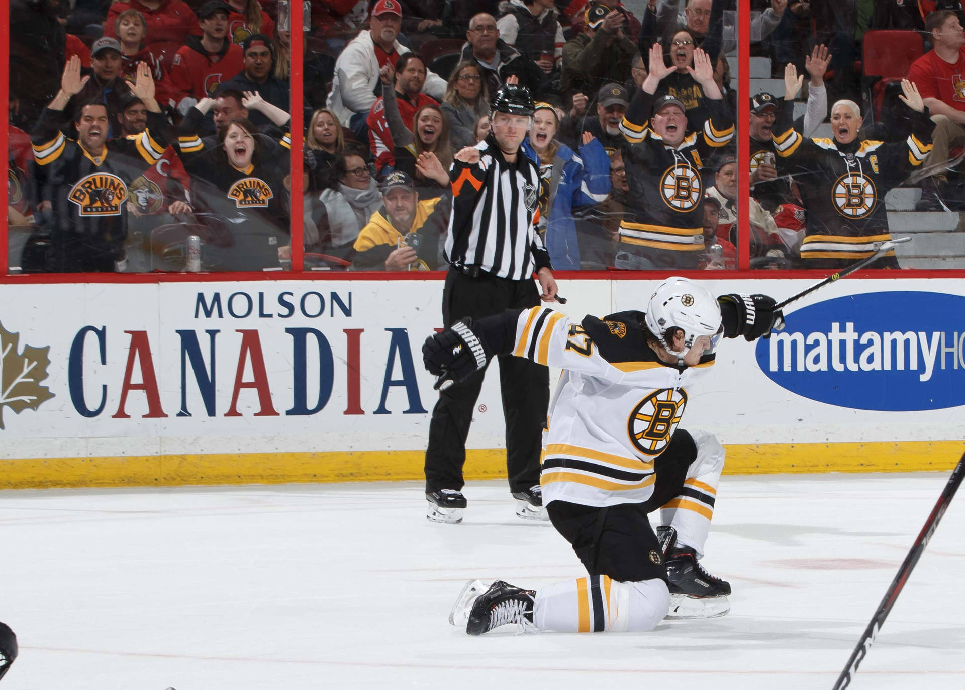 Torey Krug Lands A Goal On November 2019 Background