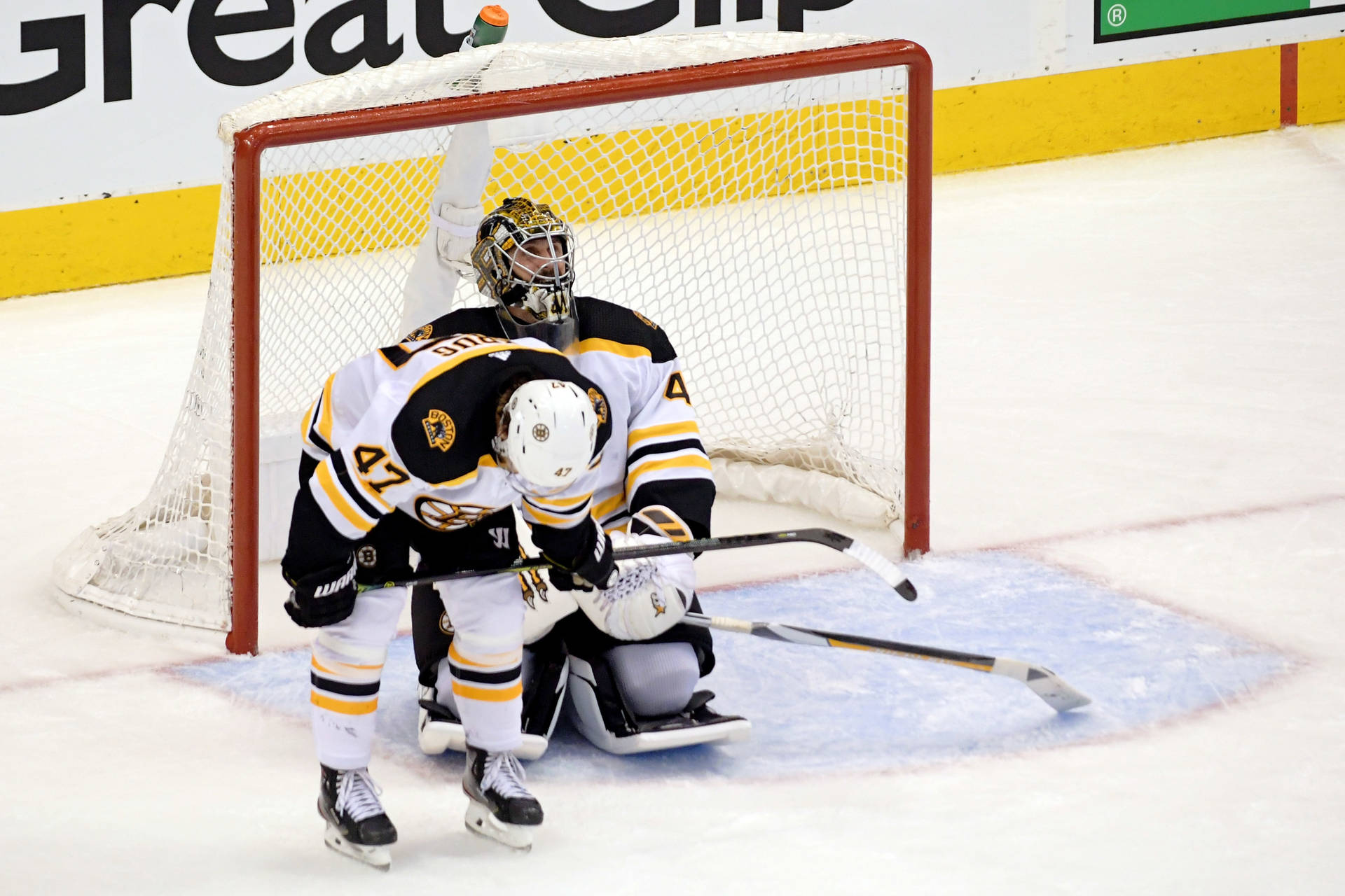 Torey Krug With Jaroslav Halak