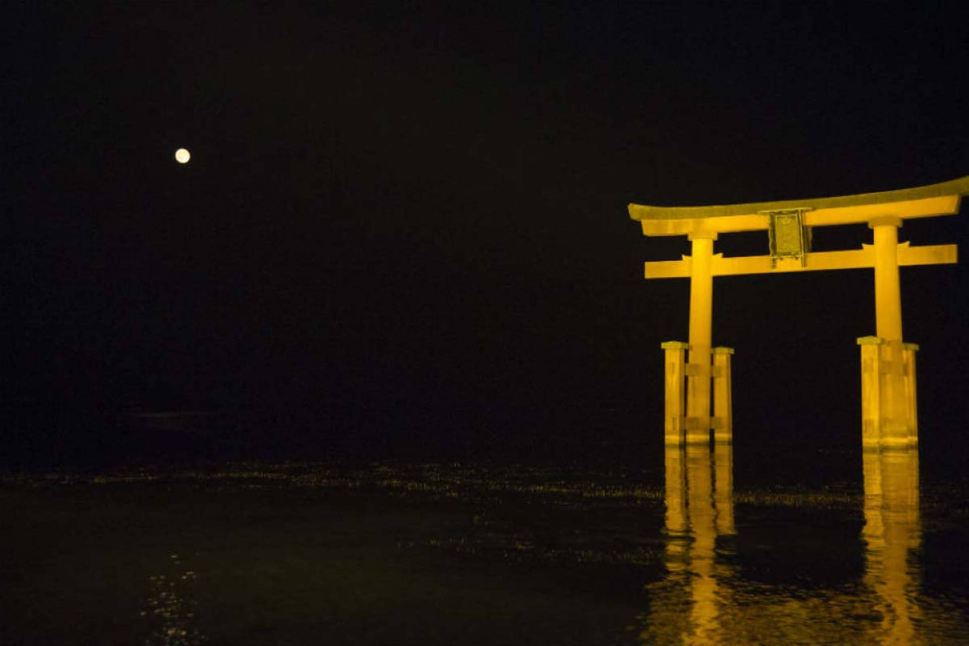 Torii Gate At Night Background