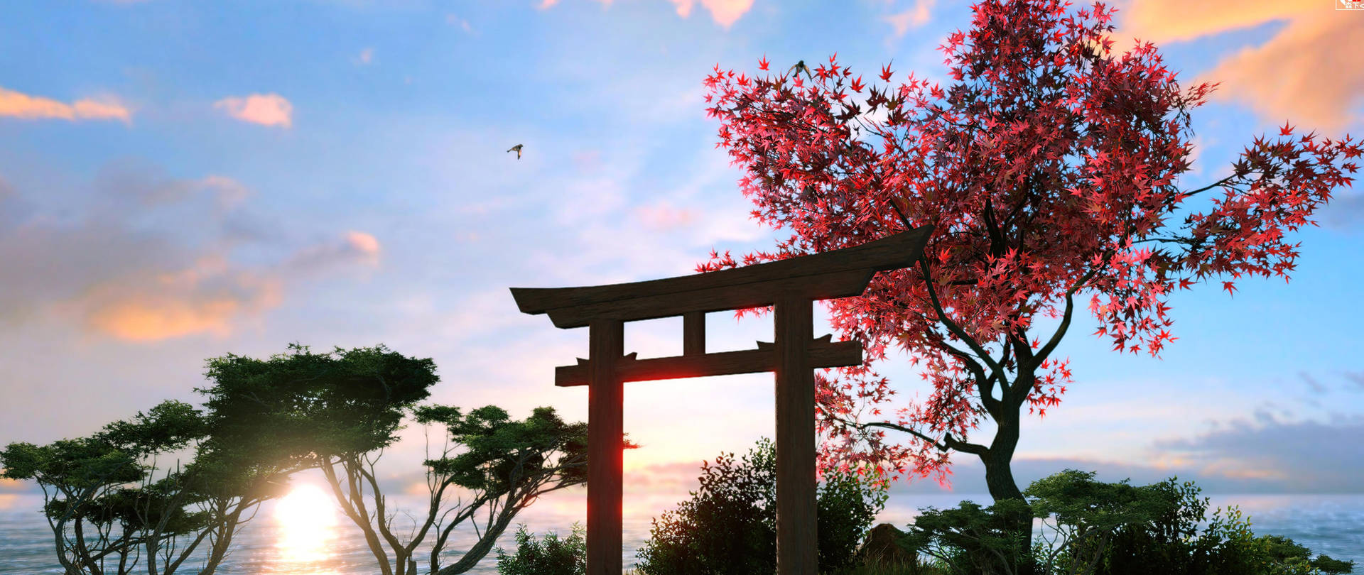 Torii Gate Cherry Blossoms Background
