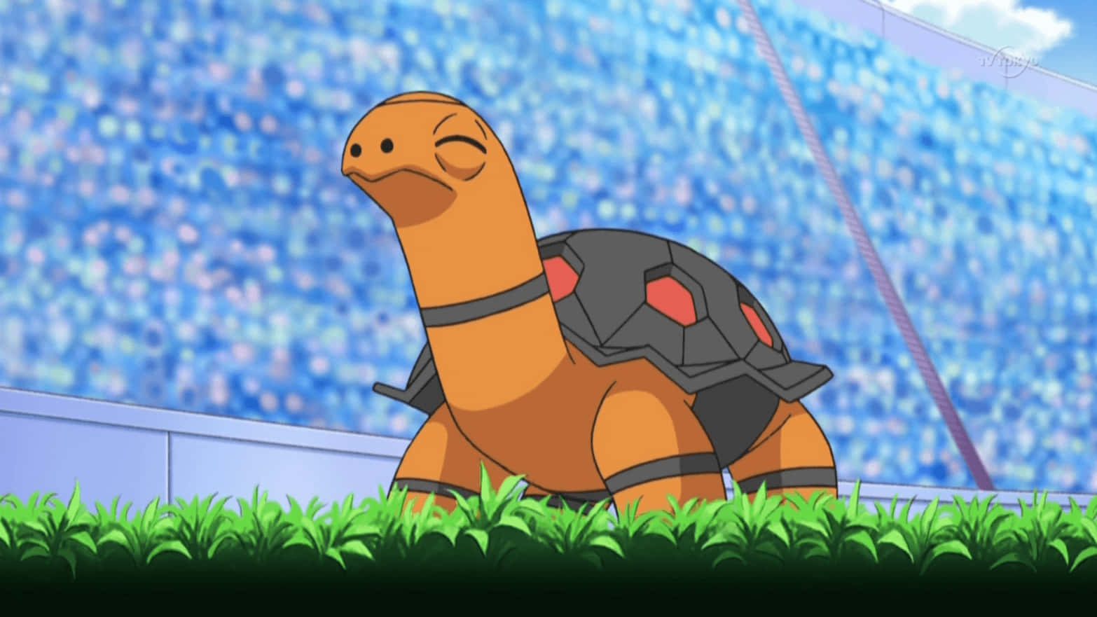Torkoal Against Crowd Background