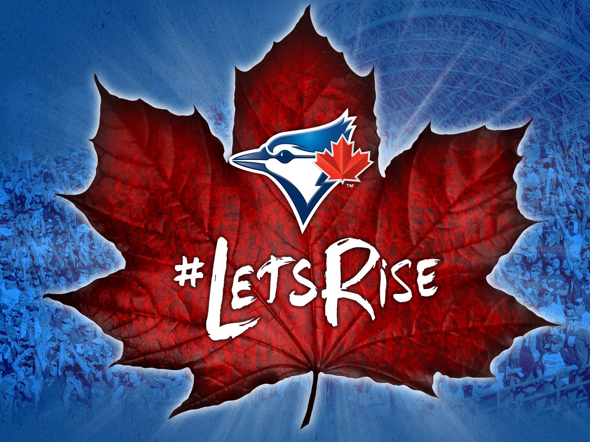 Toronto Blue Jays Maple Leaf Logo Background