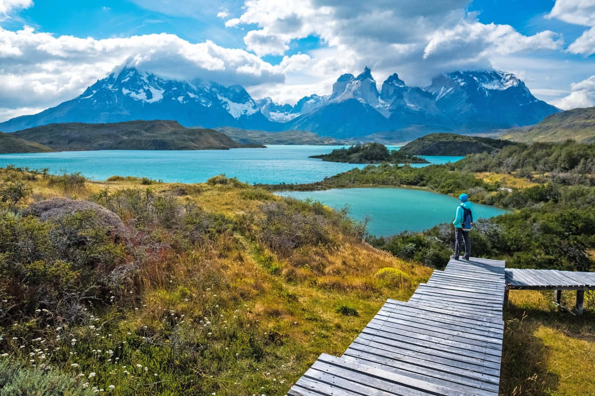Torres Del Paine Hiker Viewpoint Background