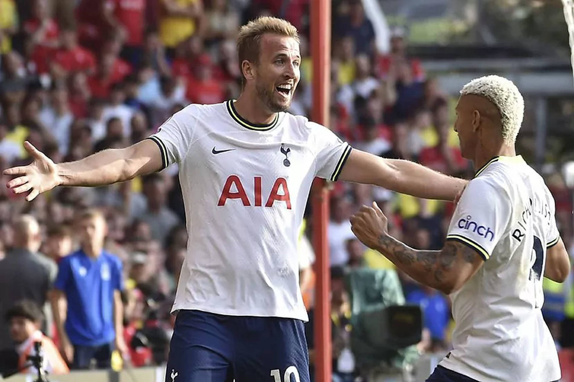 Tottenham Hotspurs Fc Cheering In The Stadium