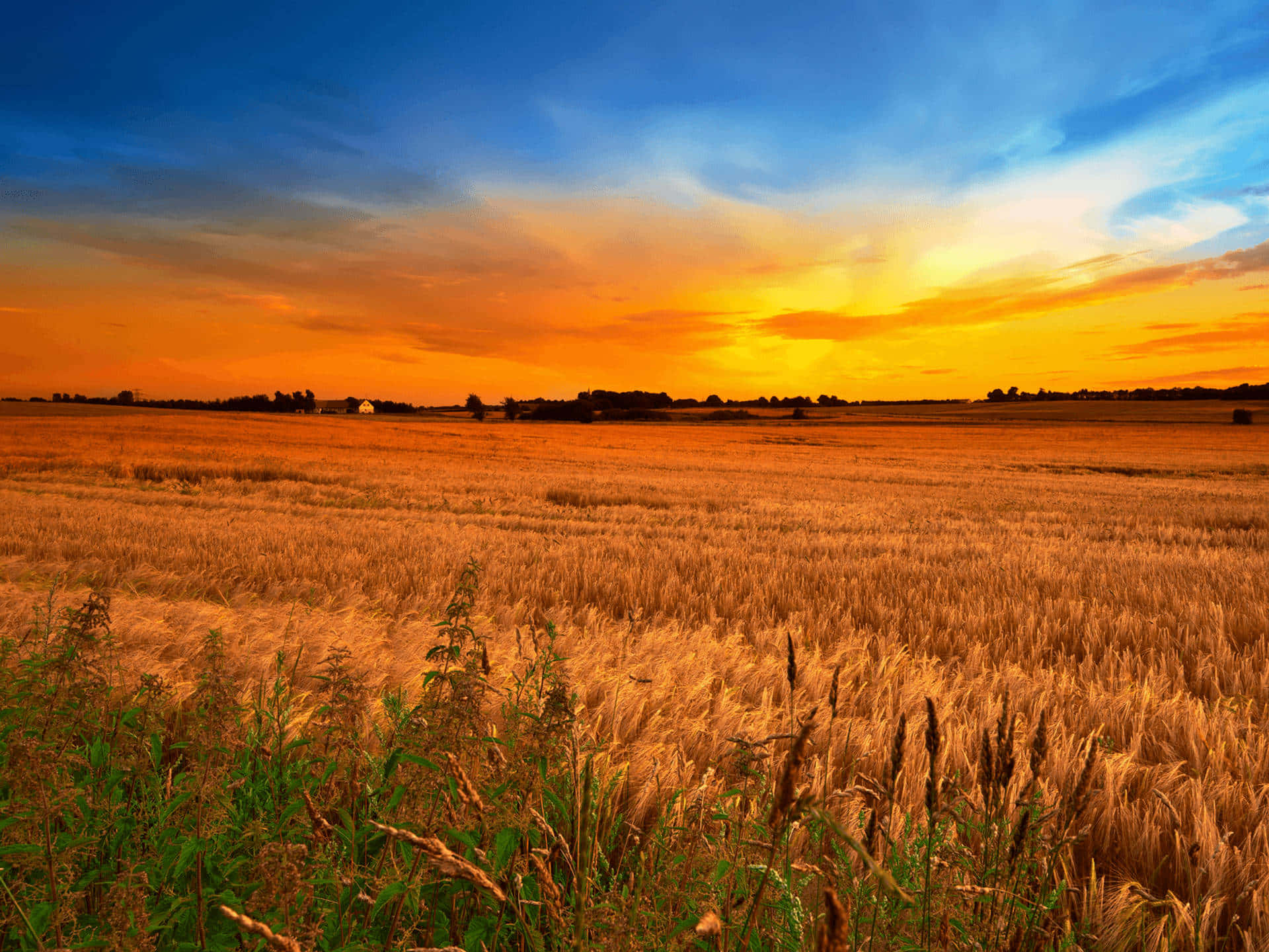 Tour The Rolling Hills Of Africa Background