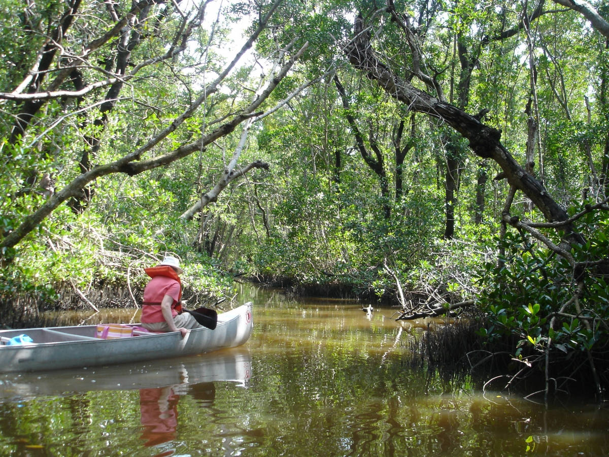 Tourist On Small Boat Everglades National Park