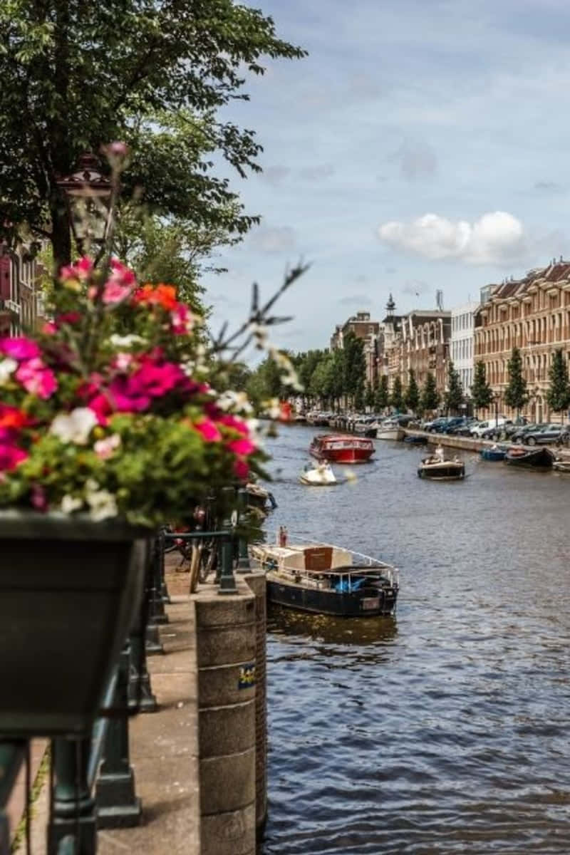 Tourists Explore Amsterdam In The Spring Background