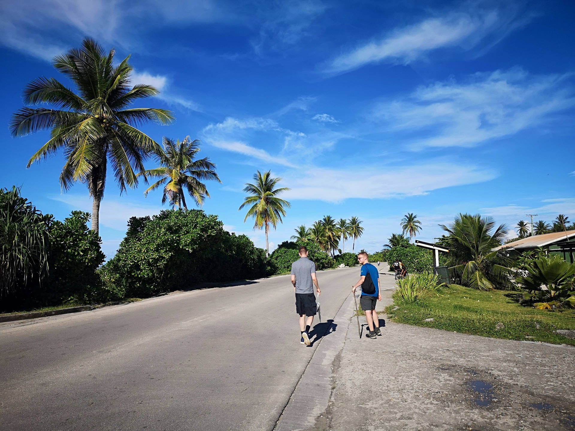 Tourists Exploring Nauru Road Background