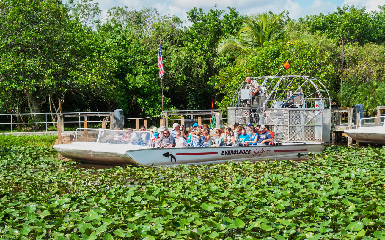 Tourists On Boat Everglades National Park Background