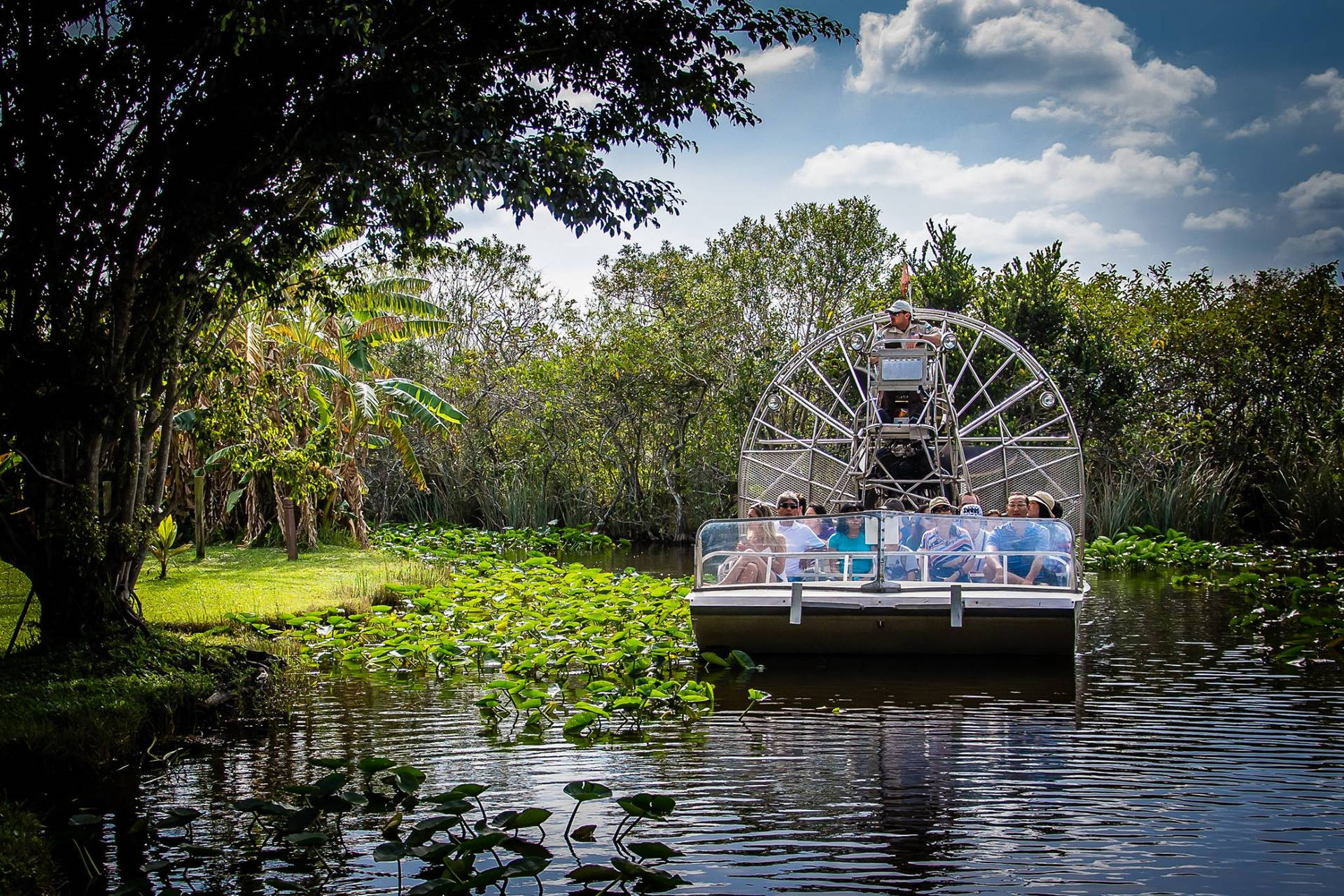 Tourists Riding Boat Everglades National Park