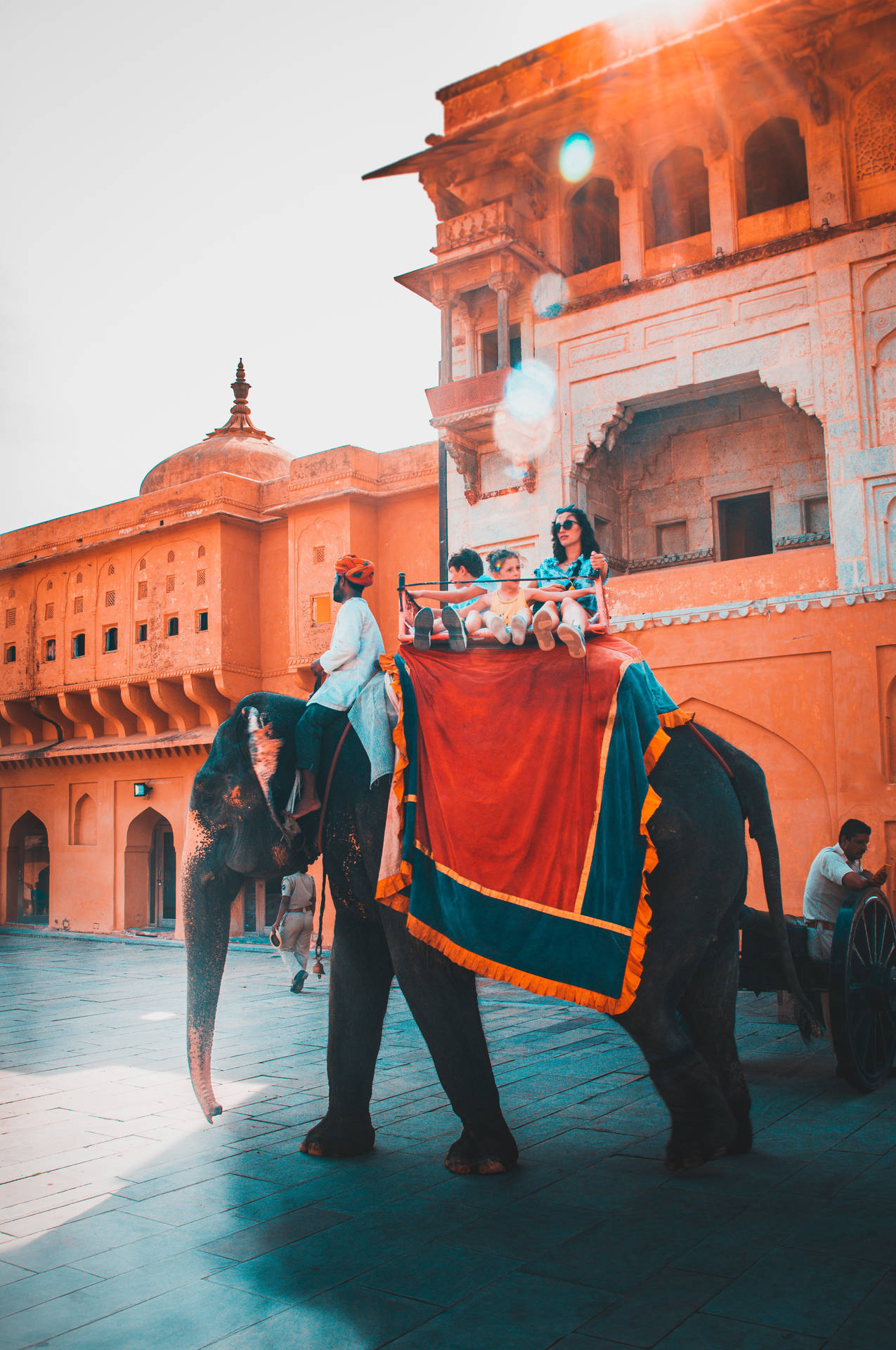 Tourists Riding Elephant In Jaipur Background