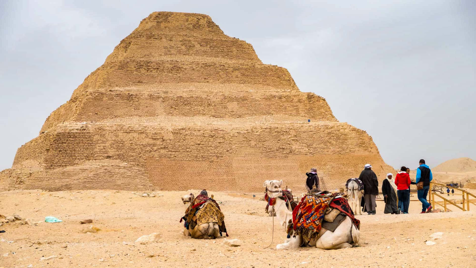 Tourists With Camels At Saqqara Pyramid Background
