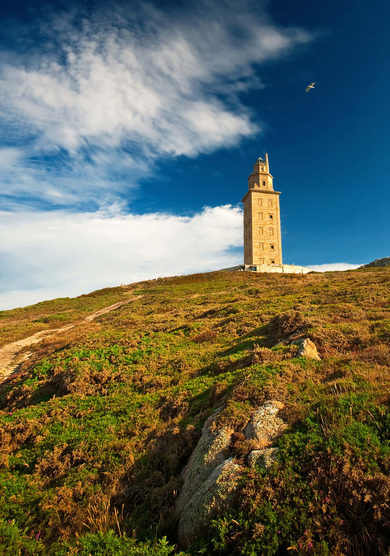 Tower Of Hercules Above The Grass Phone Background