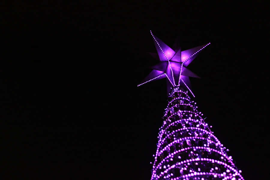 Towering Purple Christmas Tree On A Dark Background