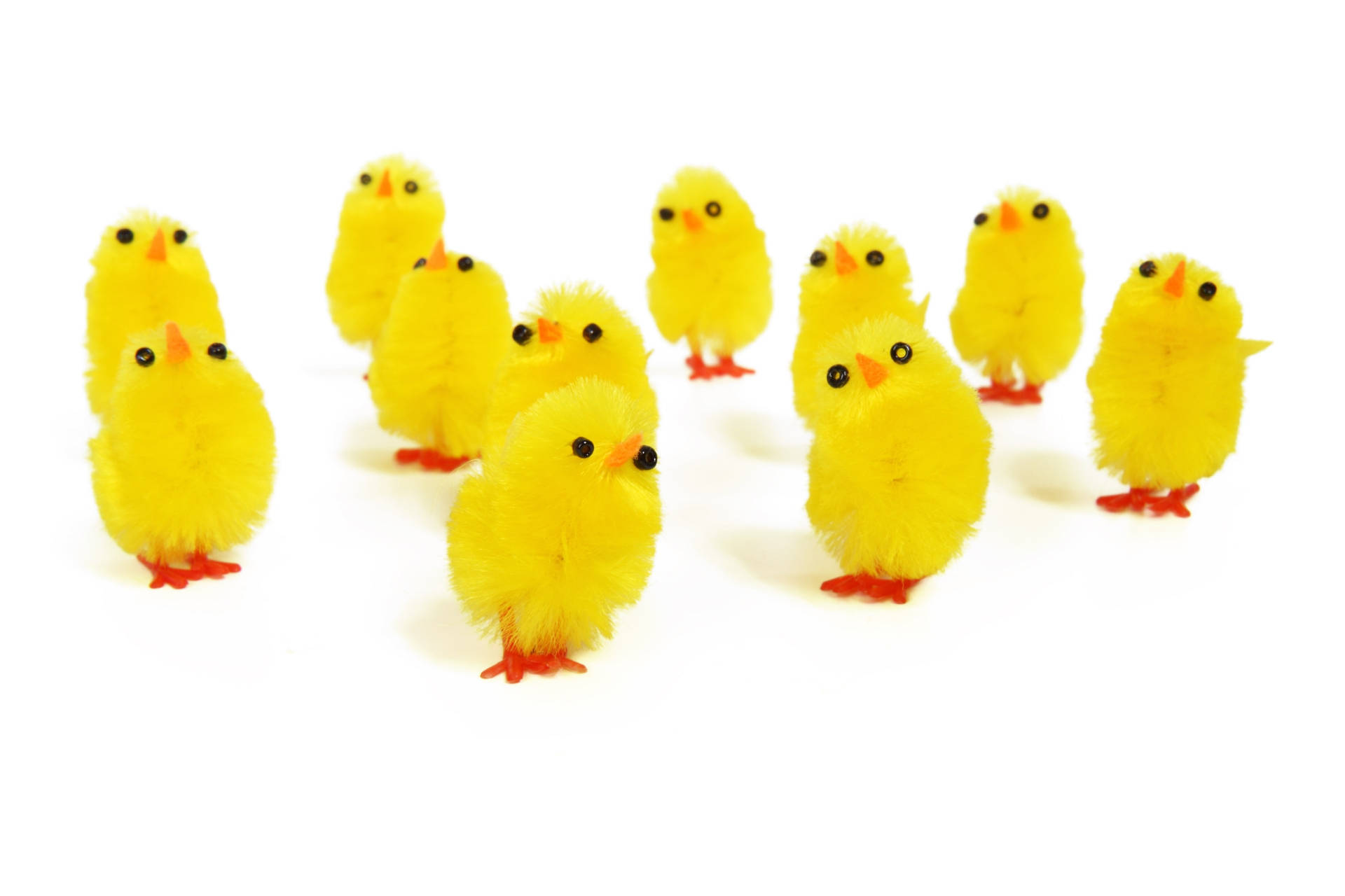 Toy Chicks