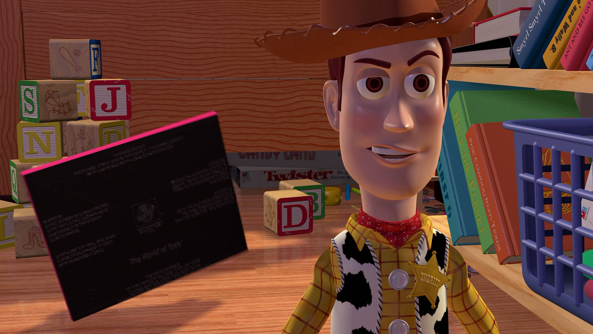 Toy Story 3 Woody In Stock Room